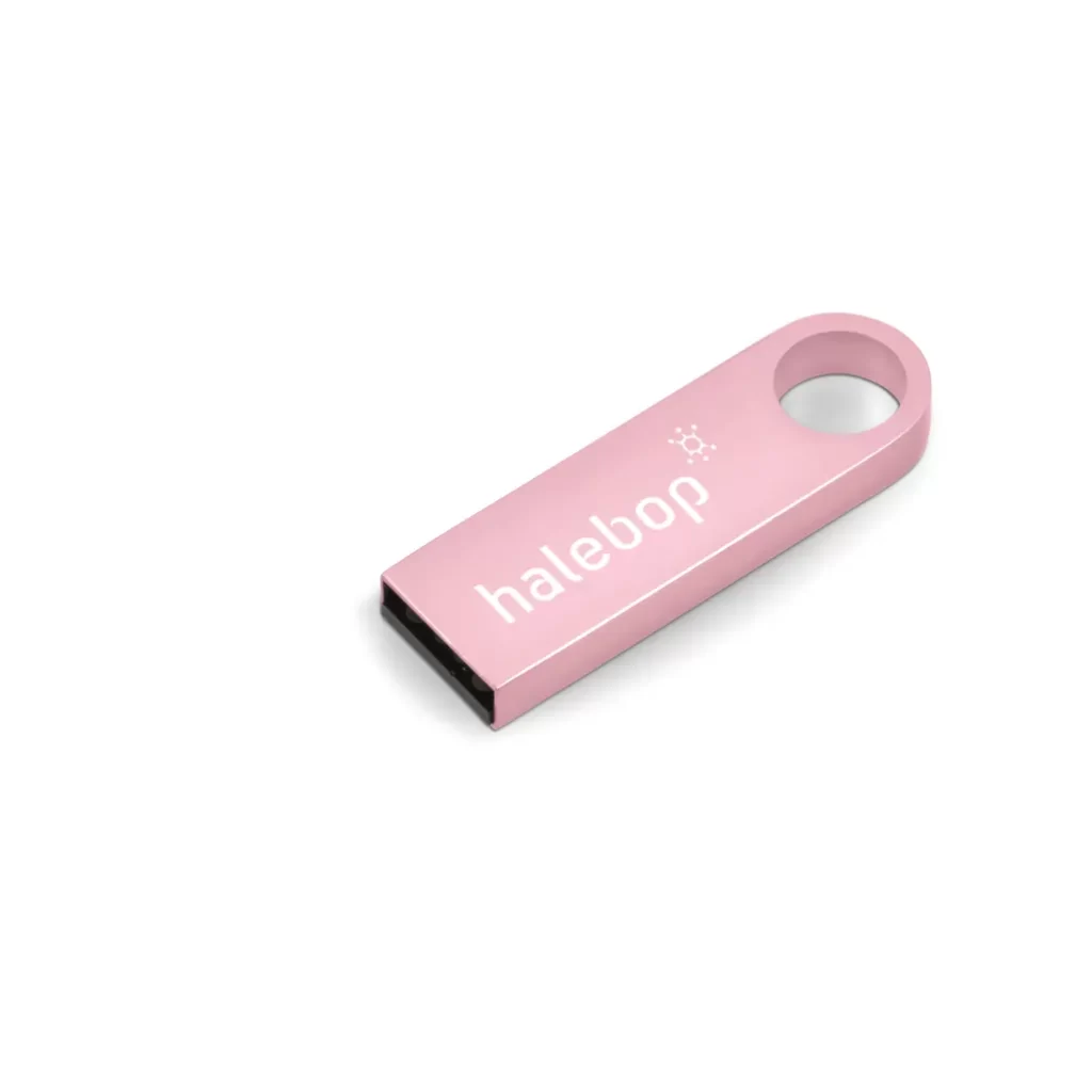 Vega Flash Drive - 16GB - Pink